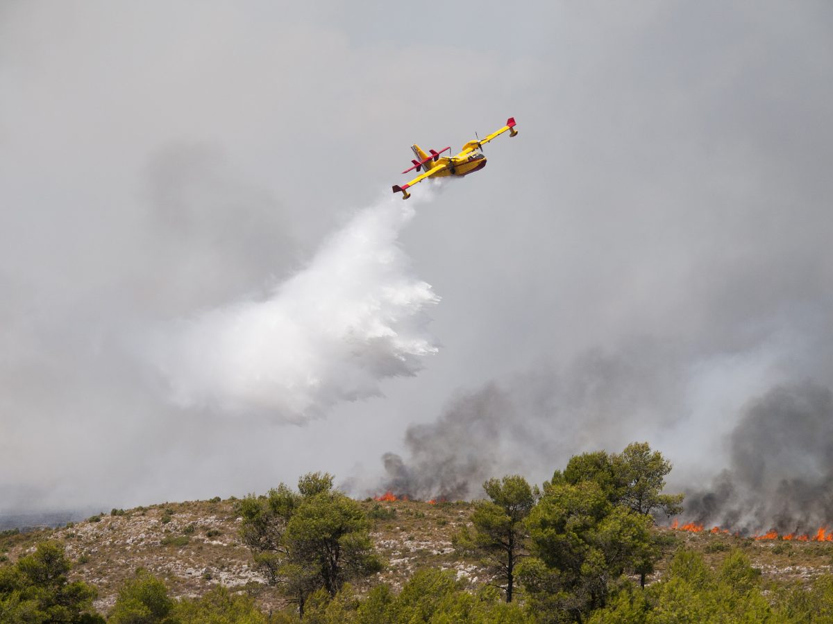 Seaplane discharging water on a forest fire